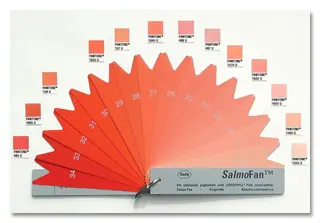 salmón