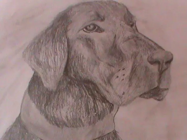 MIS dibujos...xD