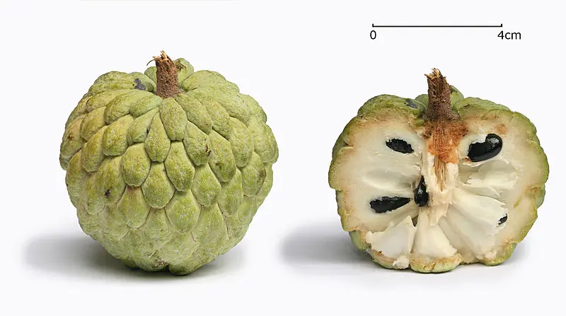 frutas