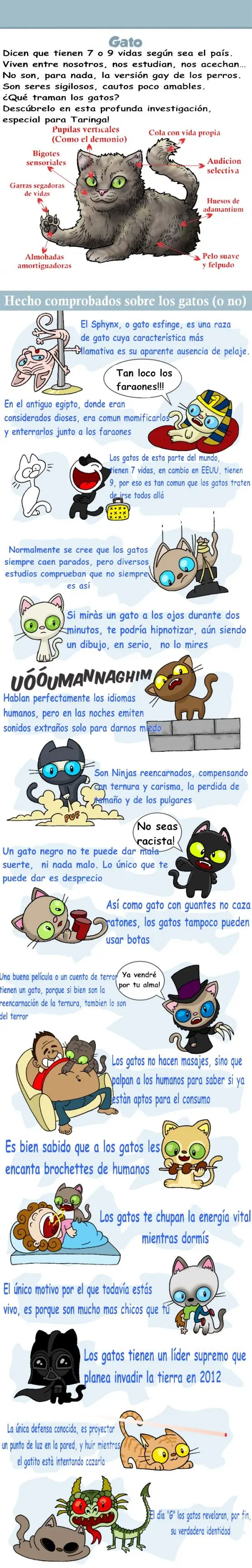 La verdad gatuna [With Yapa]