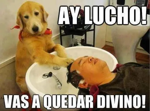 imagenes