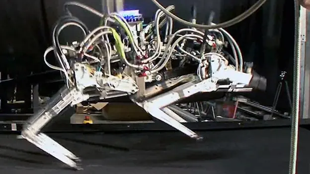 robot