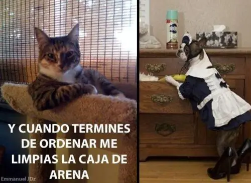 *-*