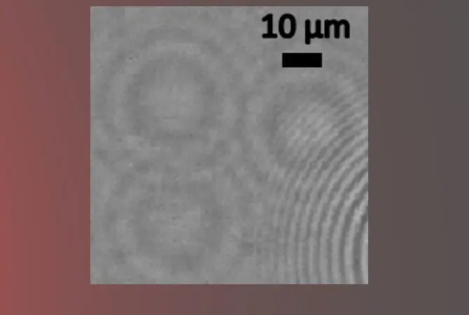 Nanolentes líquidas capaces de captar imágenes de virus