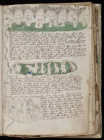Manuscrito Voynich. El libro enigmático