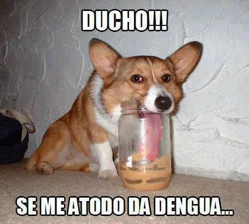 *-*