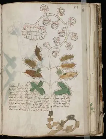 Manuscrito Voynich. El libro enigmático
