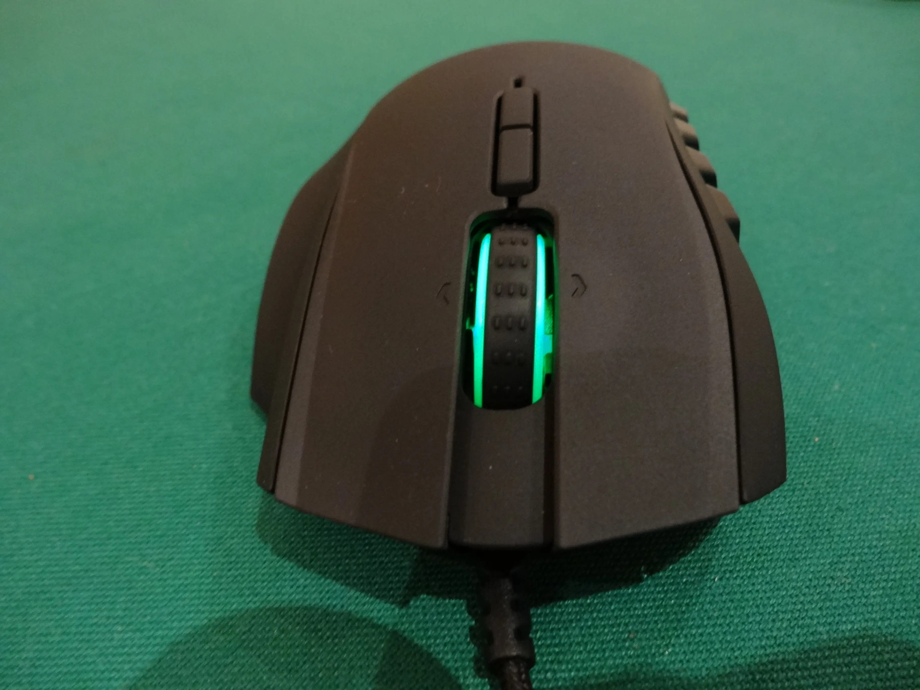 ratón