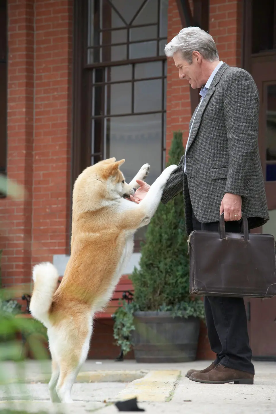 HACHIKO