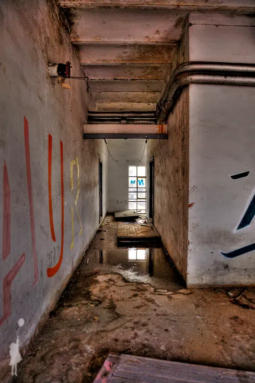 abandonados