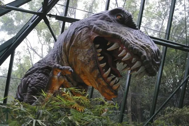 Dinosaurios