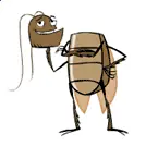 dtos curiosos