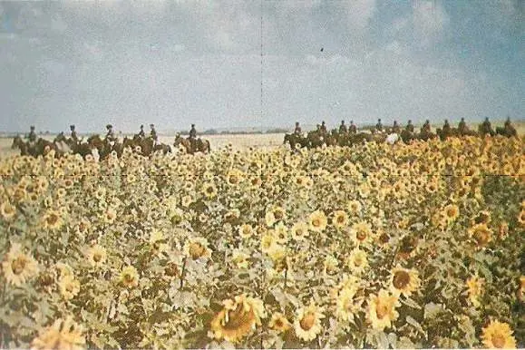 Segunda Guerra Mundial