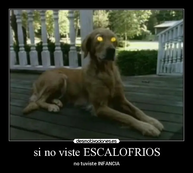 paranormal