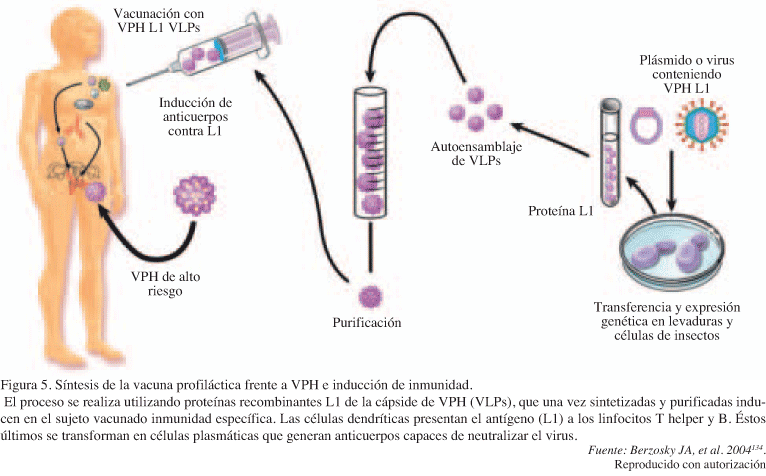 biotecnología