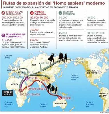 Evolución humana: De primates a hombres.