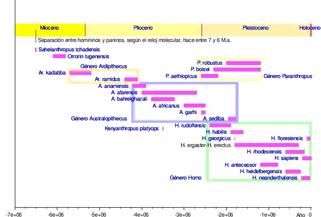 Sapiens