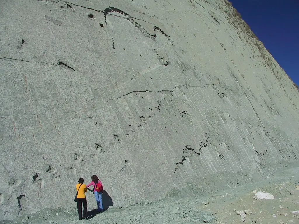bolivia