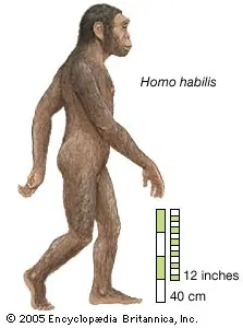 humana