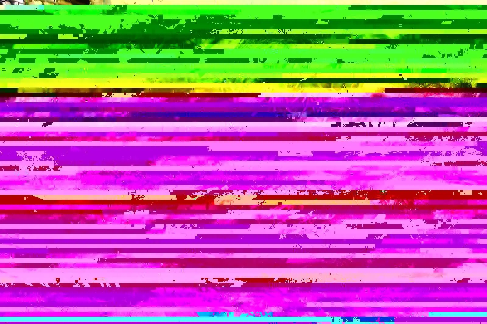 Glitch Art  (serendipia digital)