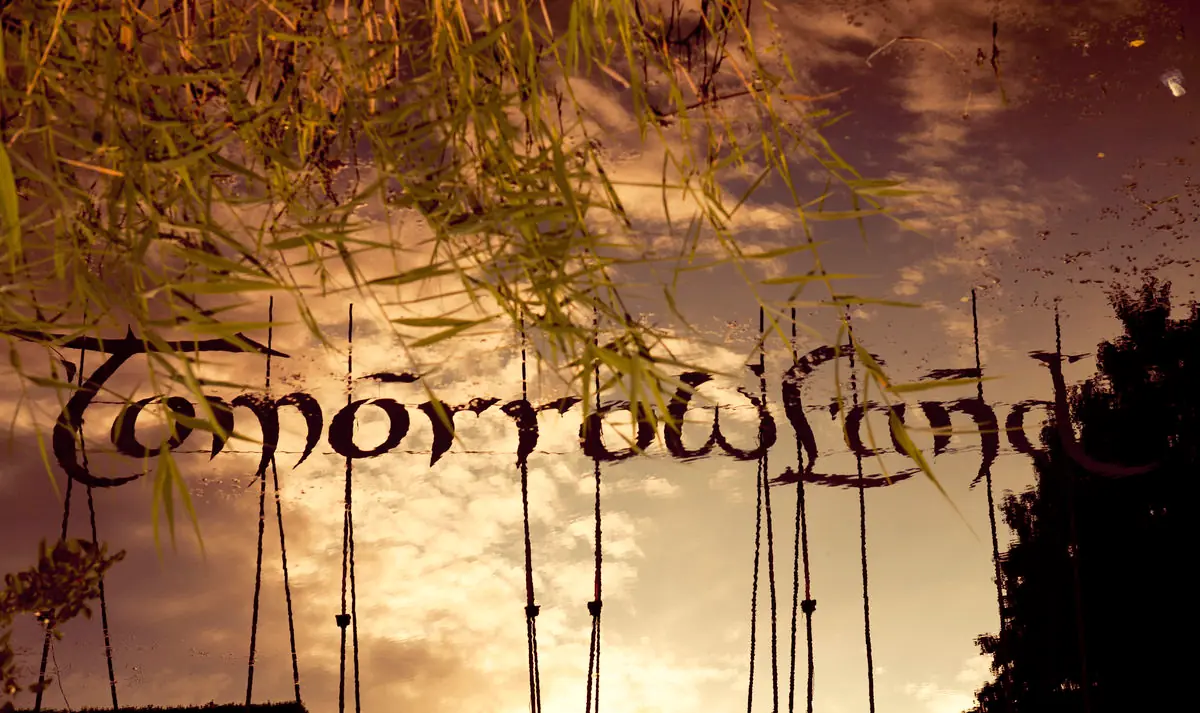 Tomorrowland ( festival electrónico mas grande del mundo)