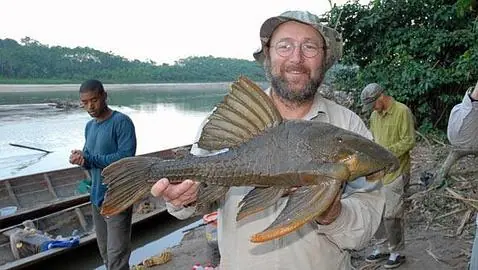 Un pez gigante que come madera, descubierto en Perú