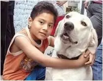 ¡ Animales que han sido héroes !