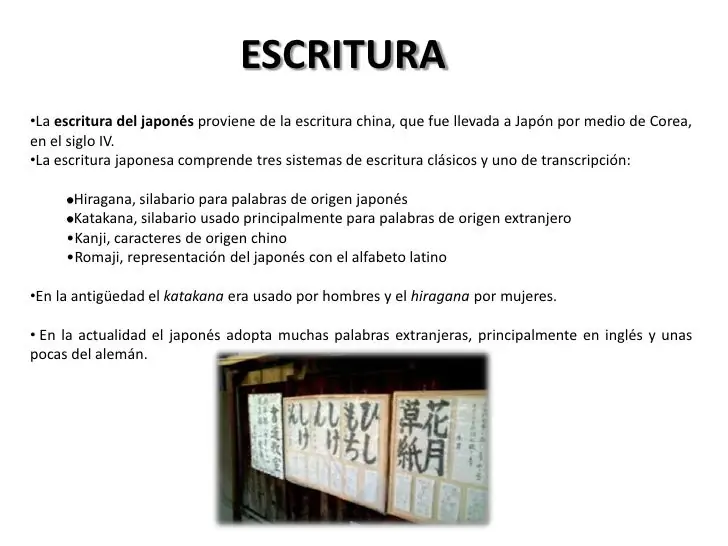 Japón, (el post que se merece)
