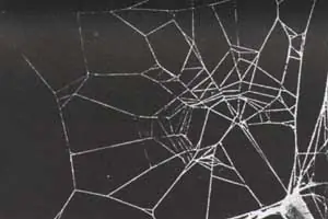 hombre araña