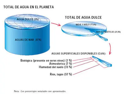 curiosidad