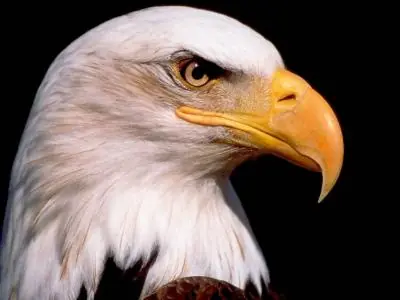 40 cosas que quizás no sabias