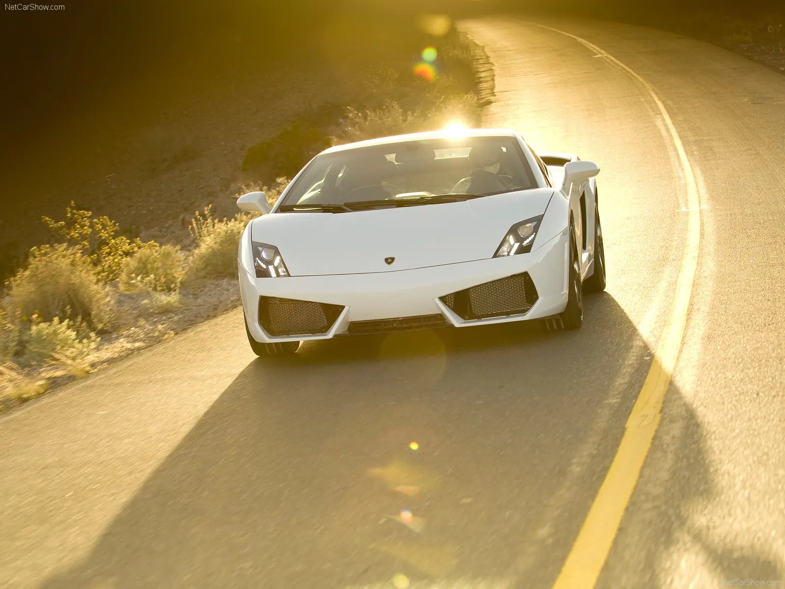 gallardo