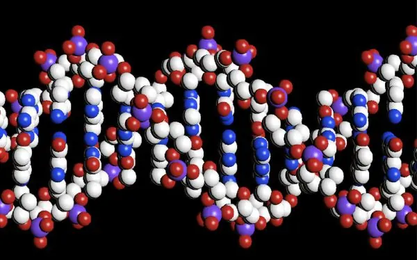Científicos descifran los secretos del genoma humano