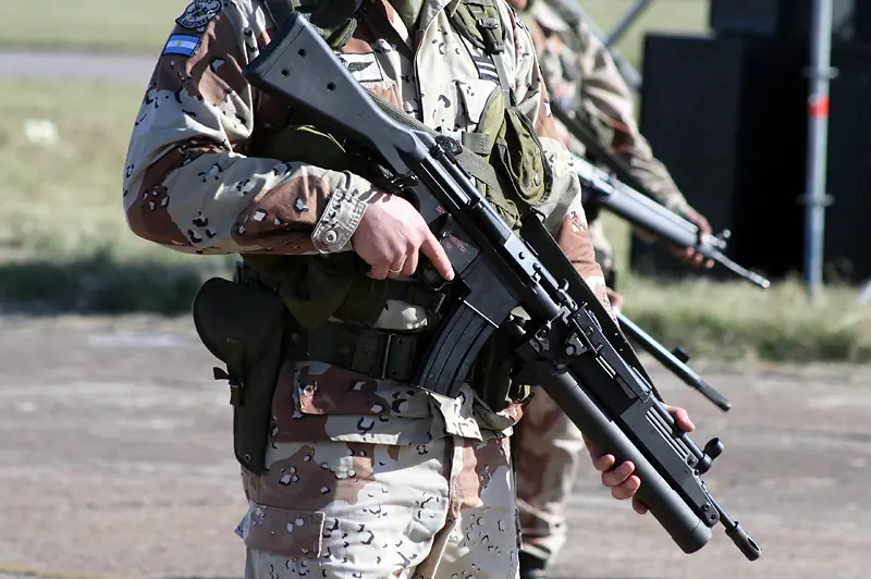 Armamento poco conocido de las F. De Defensa de la R. Argent