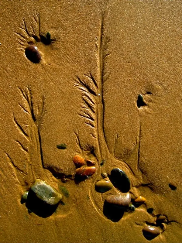 Desierto