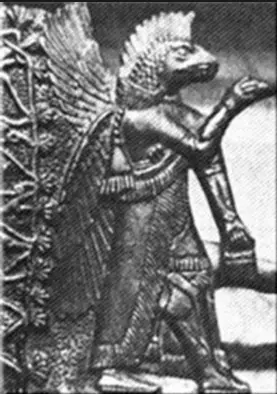 borrego
