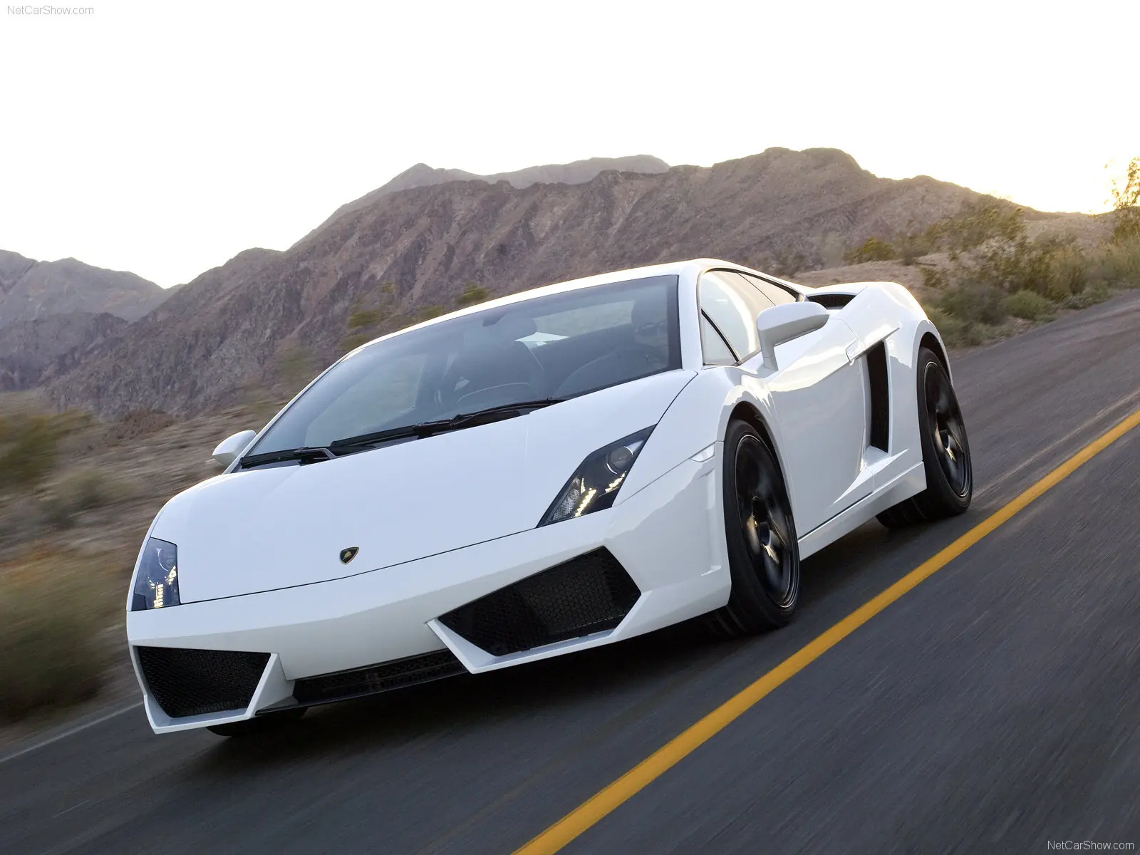 Homenaje a Lamborghini Gallardo LP560-4