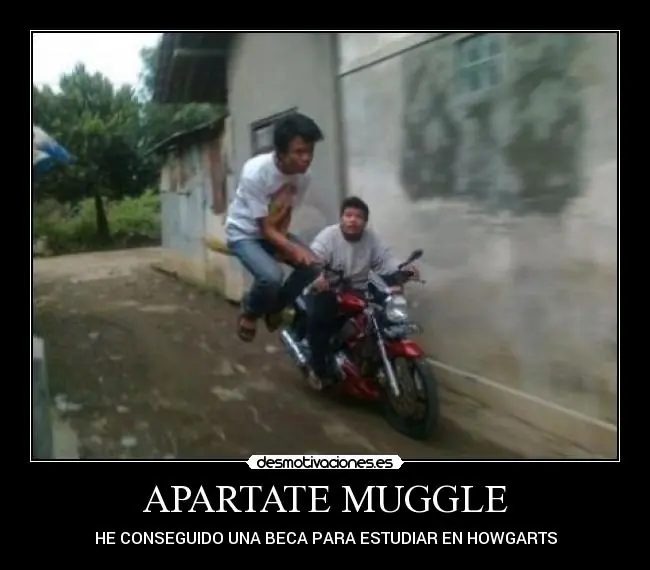 Potter