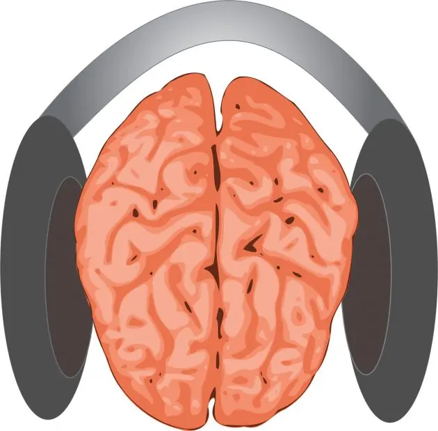Cómo afecta la música a nuestro cerebro.