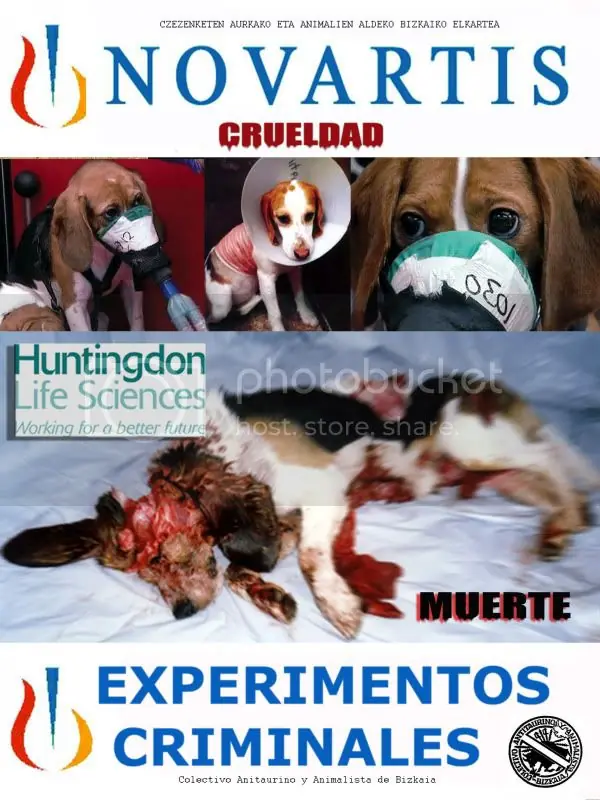 dolor