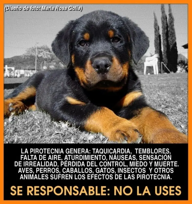 sencibles