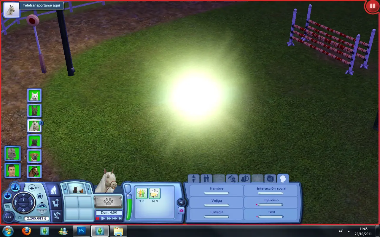 Sims 3