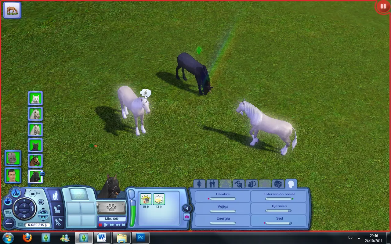 pets