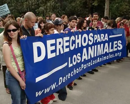 Las preguntas más comunes que les hacen a los vegetarianos