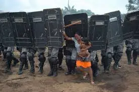 mapuches