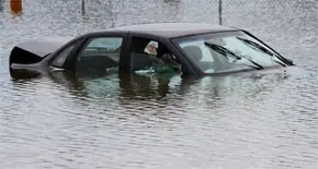 vehiculos