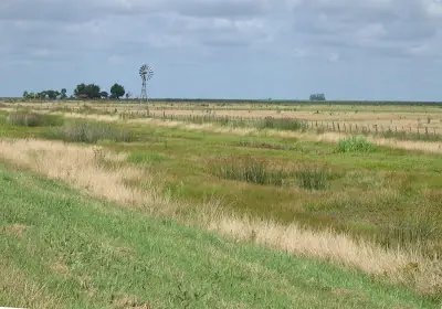 Pampa