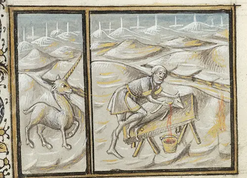unicornio