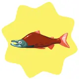 playfish