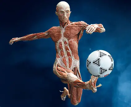 biología